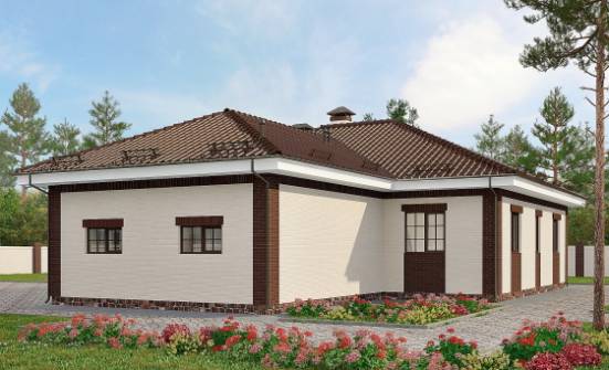 160-015-П Проект одноэтажного дома, гараж, классический коттедж из пеноблока Петропавловск-Камчатский | Проекты домов от House Expert